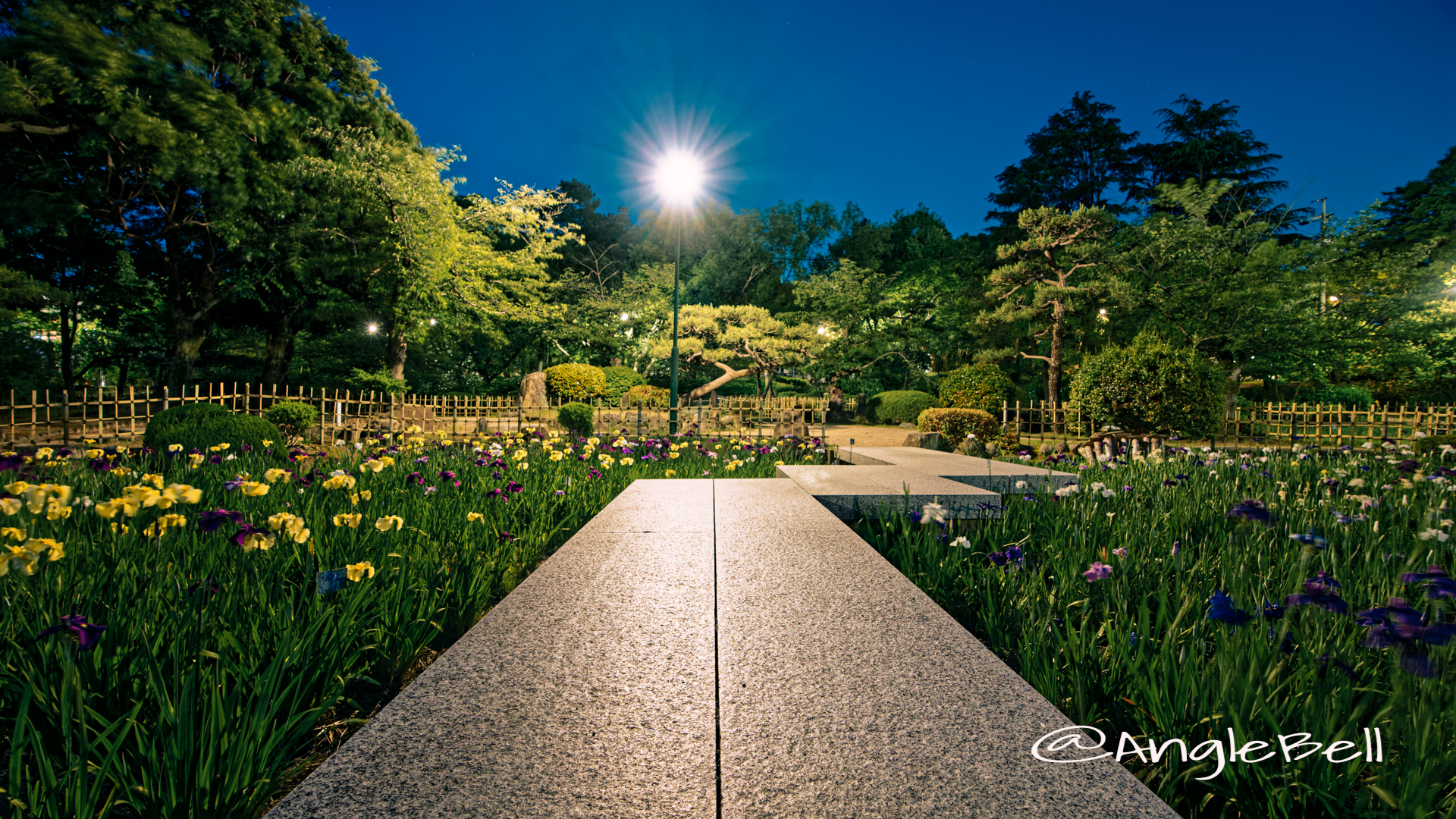 菖蒲池 (四阿) 南側 鶴舞公園 May 2020