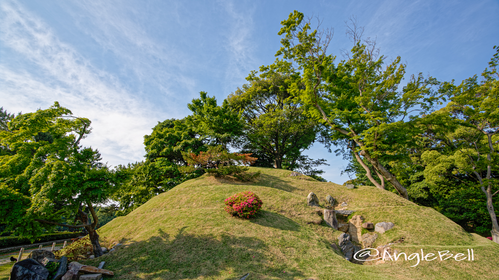 栄螺山 (名古屋城) June 2020