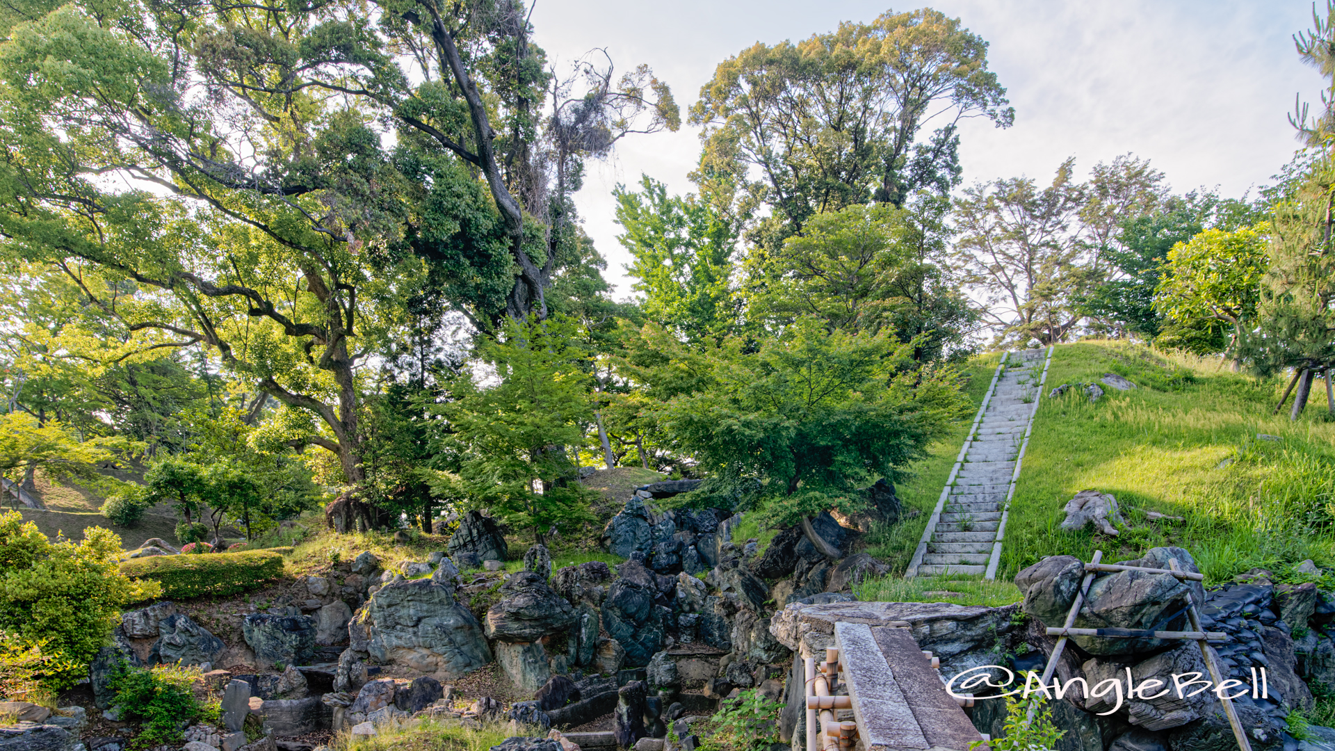 権現山 (名古屋城) June 2020