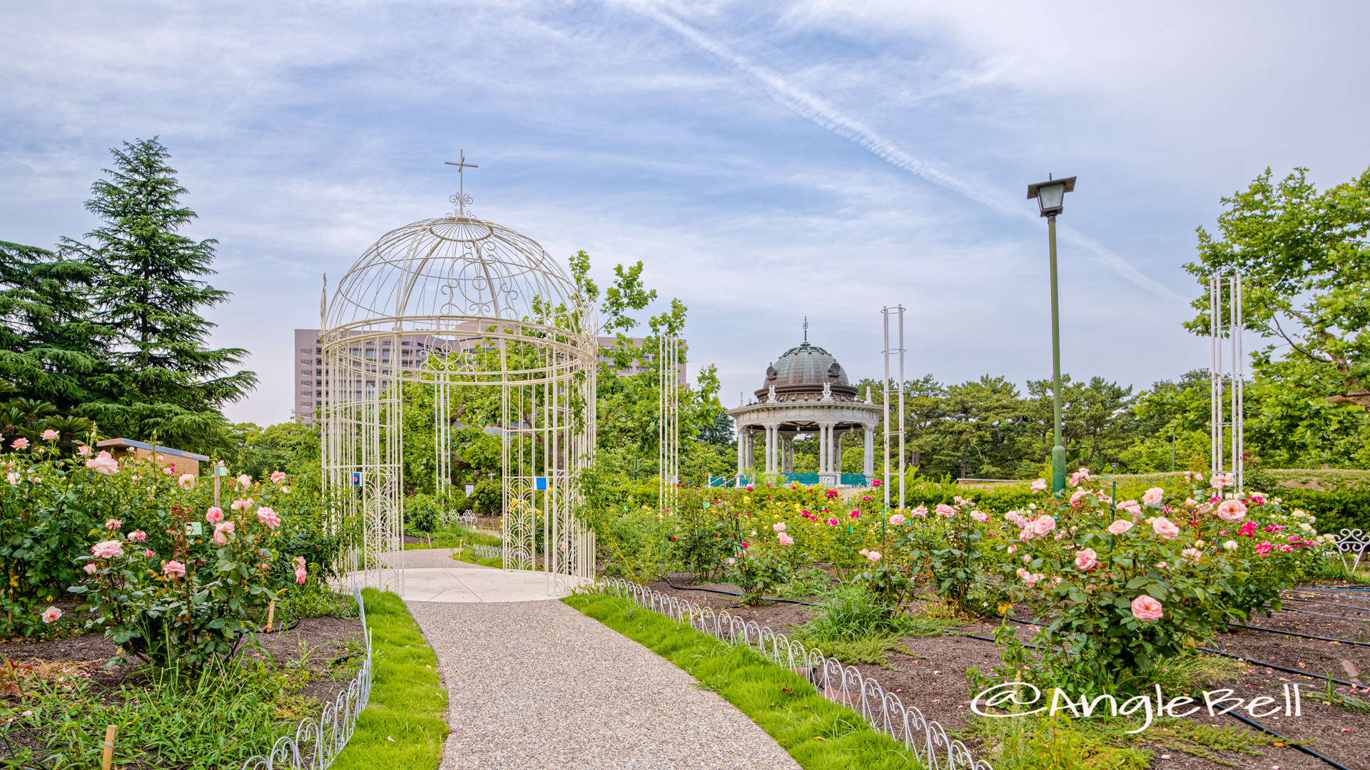 鶴舞公園 ガゼボとバラ June 2020