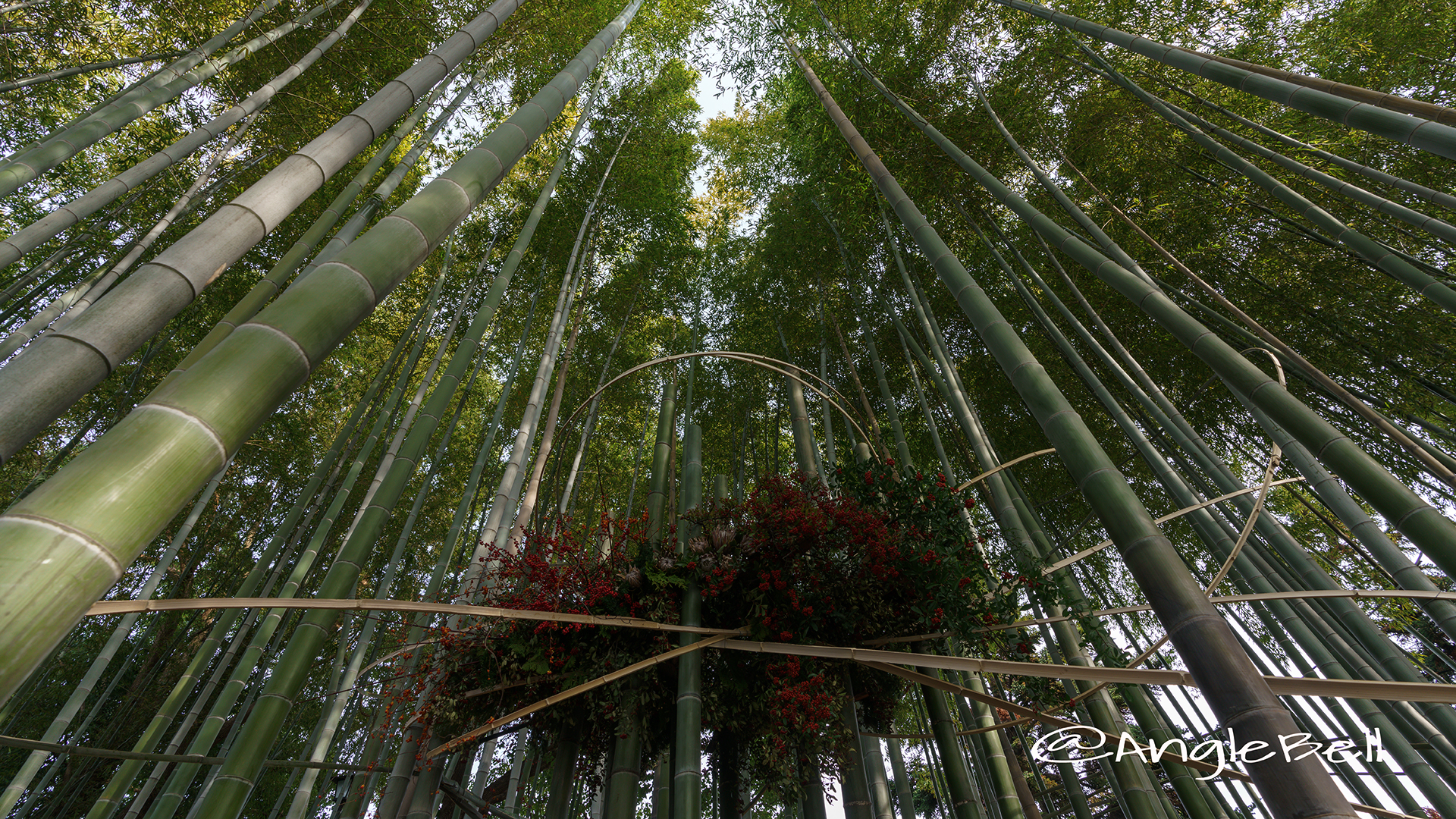 白鳥庭園 竹林 華と灯りの路地飾り2017