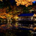 夕景 東山動植物園 奥池 もみじ狩り2017