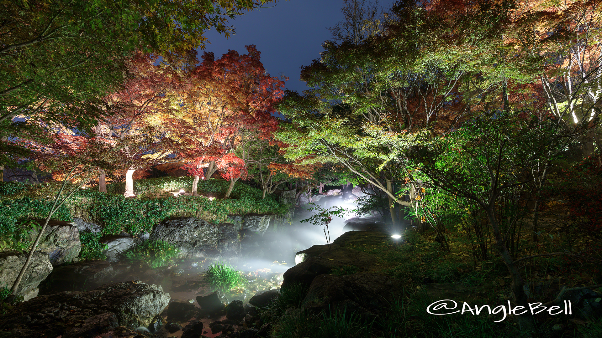 白鳥庭園 渓谷の景 ライトアップ2017