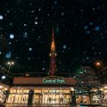 雪降る夜 もちの木広場から見る名古屋テレビ塔 January 2018
