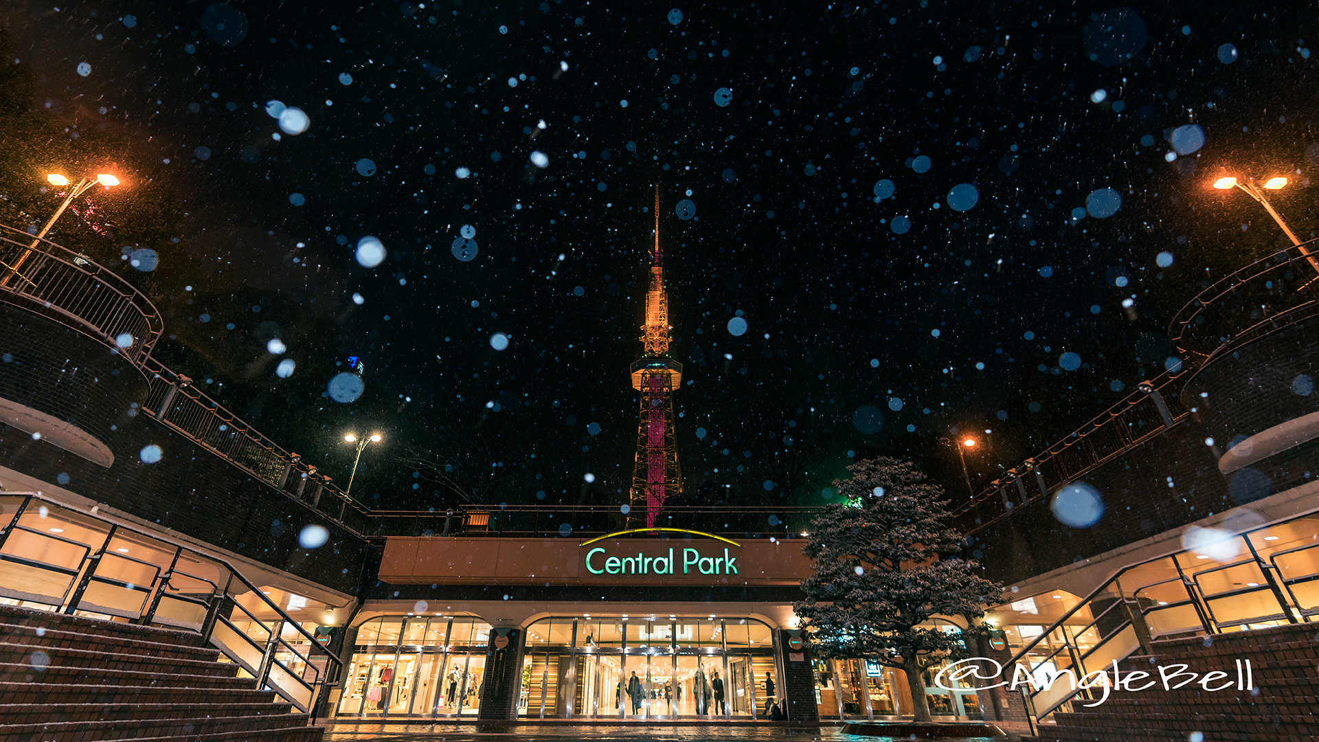 雪降る夜 もちの木広場から見る名古屋テレビ塔 January 2018