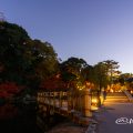 夕景 徳川園夜会 西湖堤 紅葉ライトアップ2017