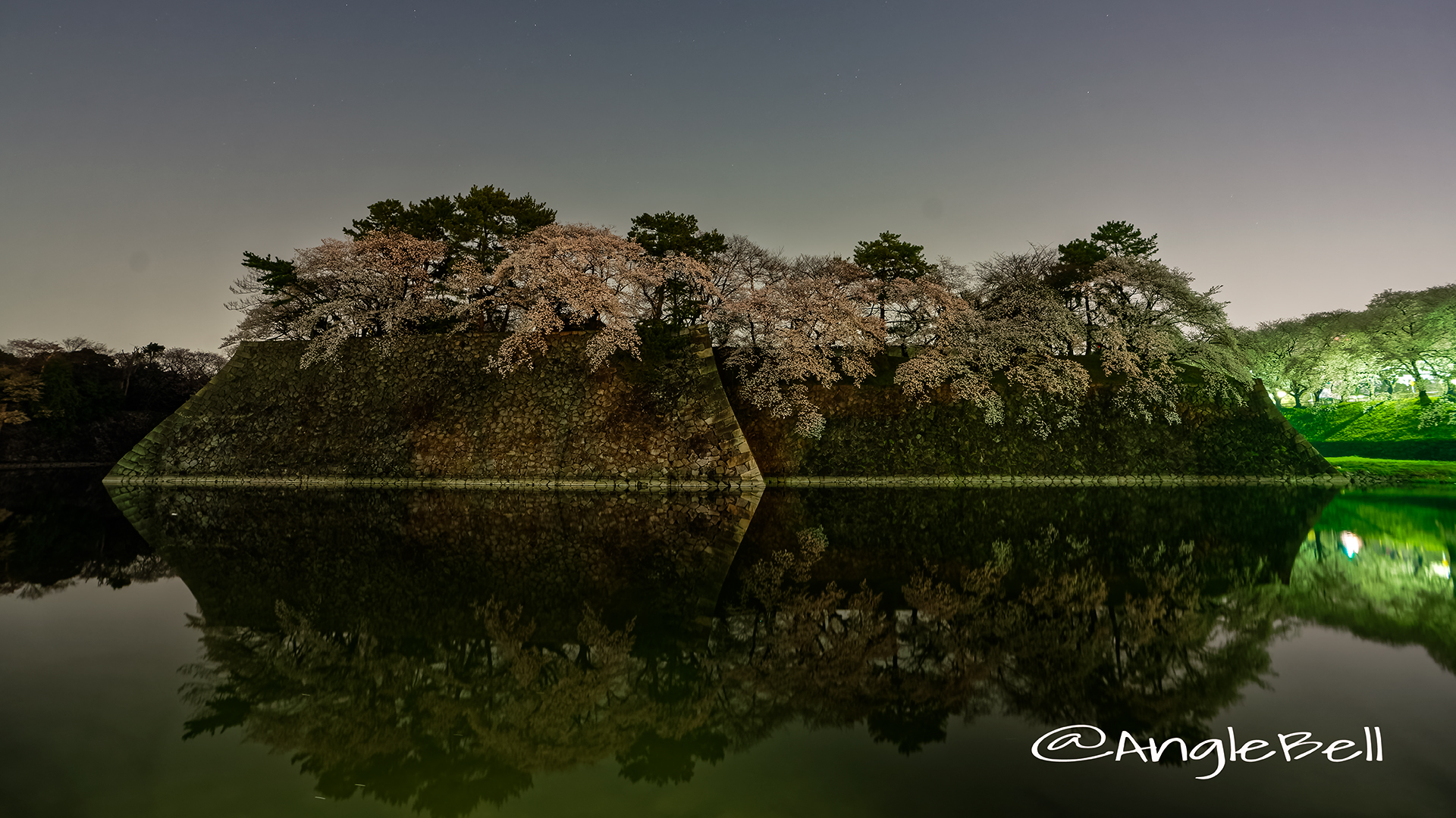 夜景 名古屋城 城西 外堀の石垣 桜と水景 March 2018