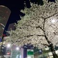 夜景 名古屋駅 桜通 桜と飛翔 March 2018