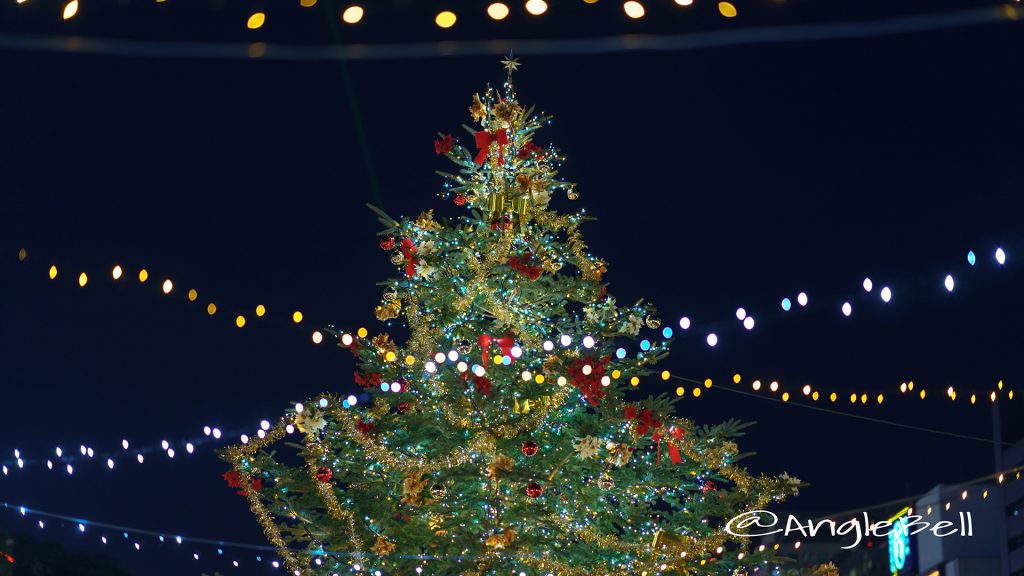 名古屋 Christmas Market 2017 Tree