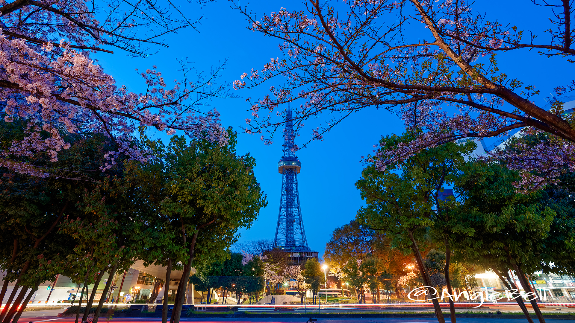 夜明け前 桜通から見た名古屋テレビ塔 March 2018