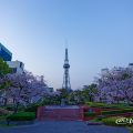 早朝 いこいの広場から見た名古屋テレビ塔と白頭鷲の像 March 2018