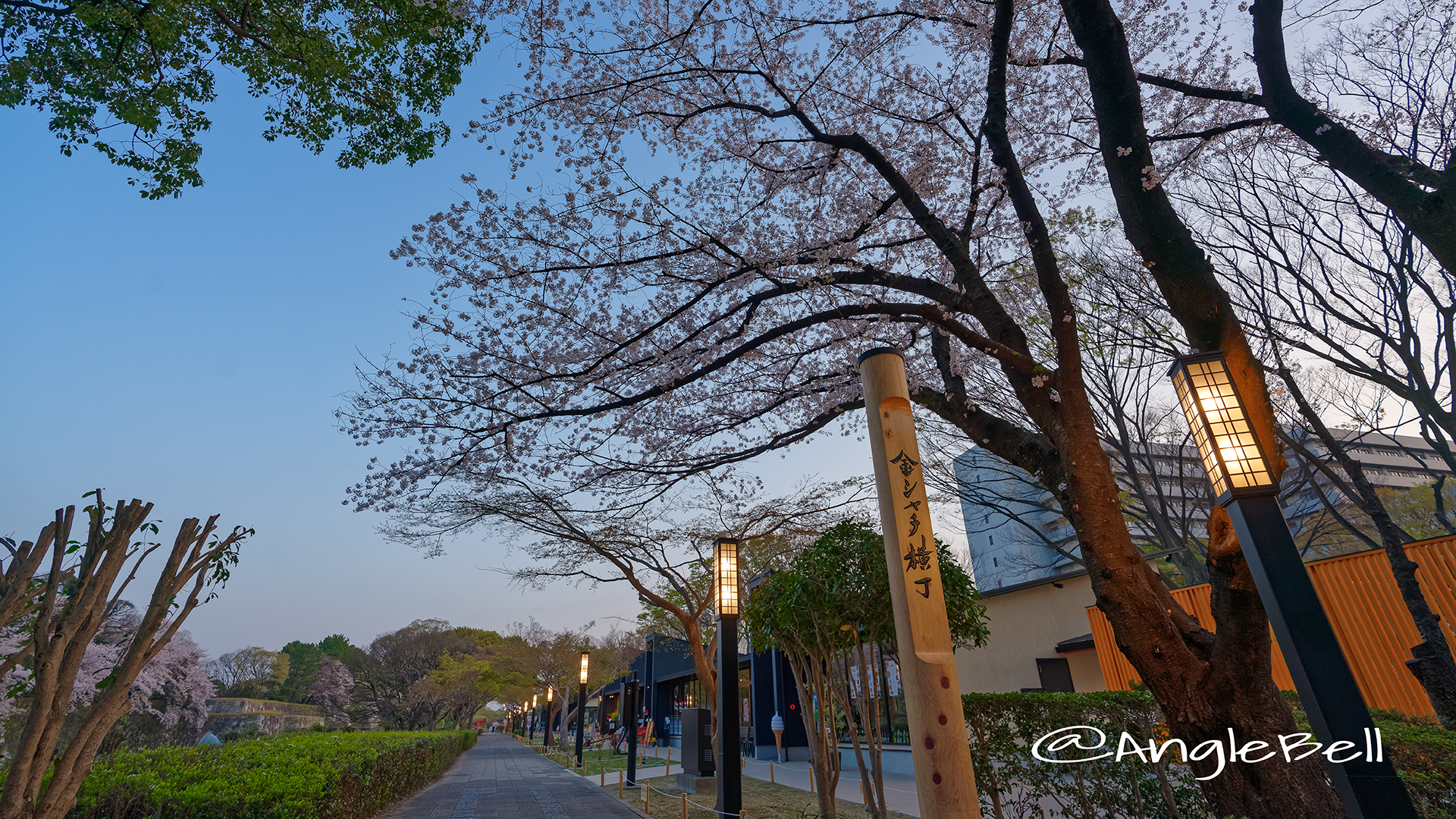 早朝 金シャチ横丁 宗春ゾーンと桜 March 2018