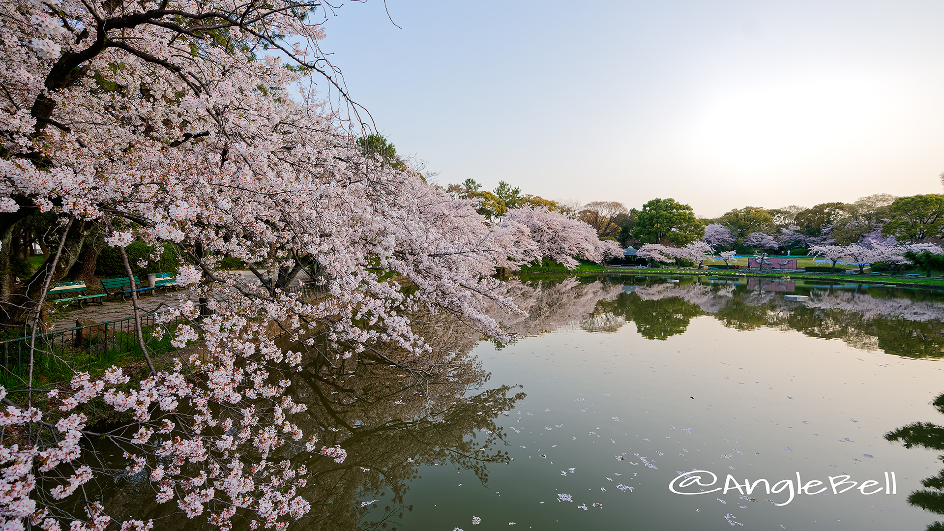 早朝 御深井西橋から見る御深井池(おふけ池) March 2018