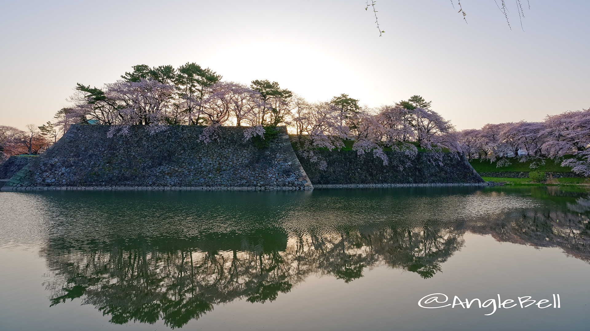 早朝 名古屋城 城西 外堀の石垣 桜と水景 March 2018