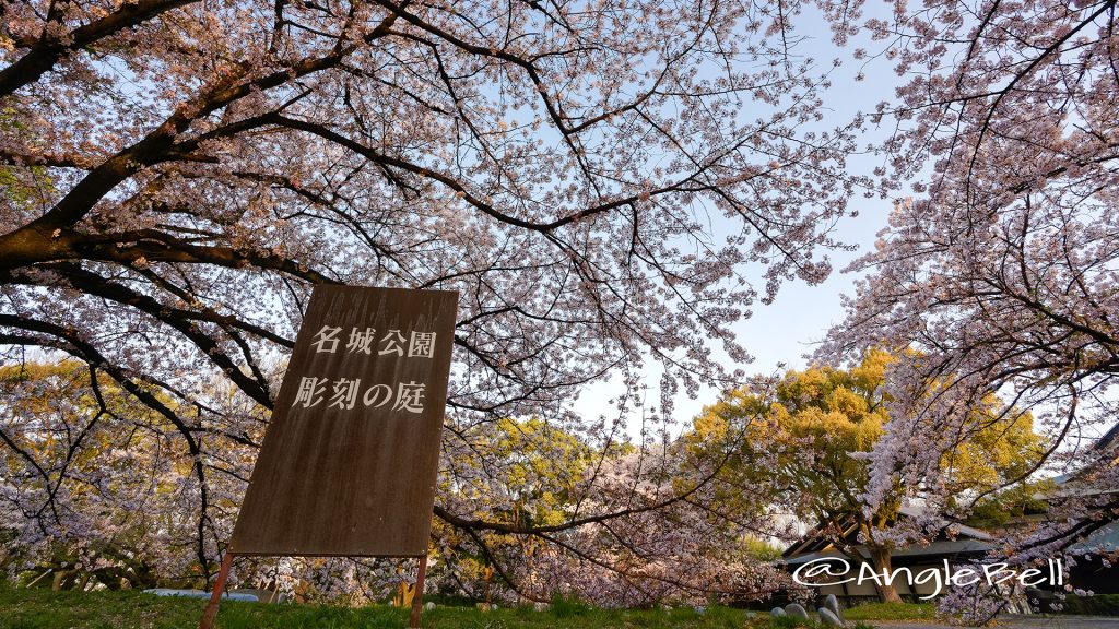 早朝 名城公園 彫刻の庭 March 2018