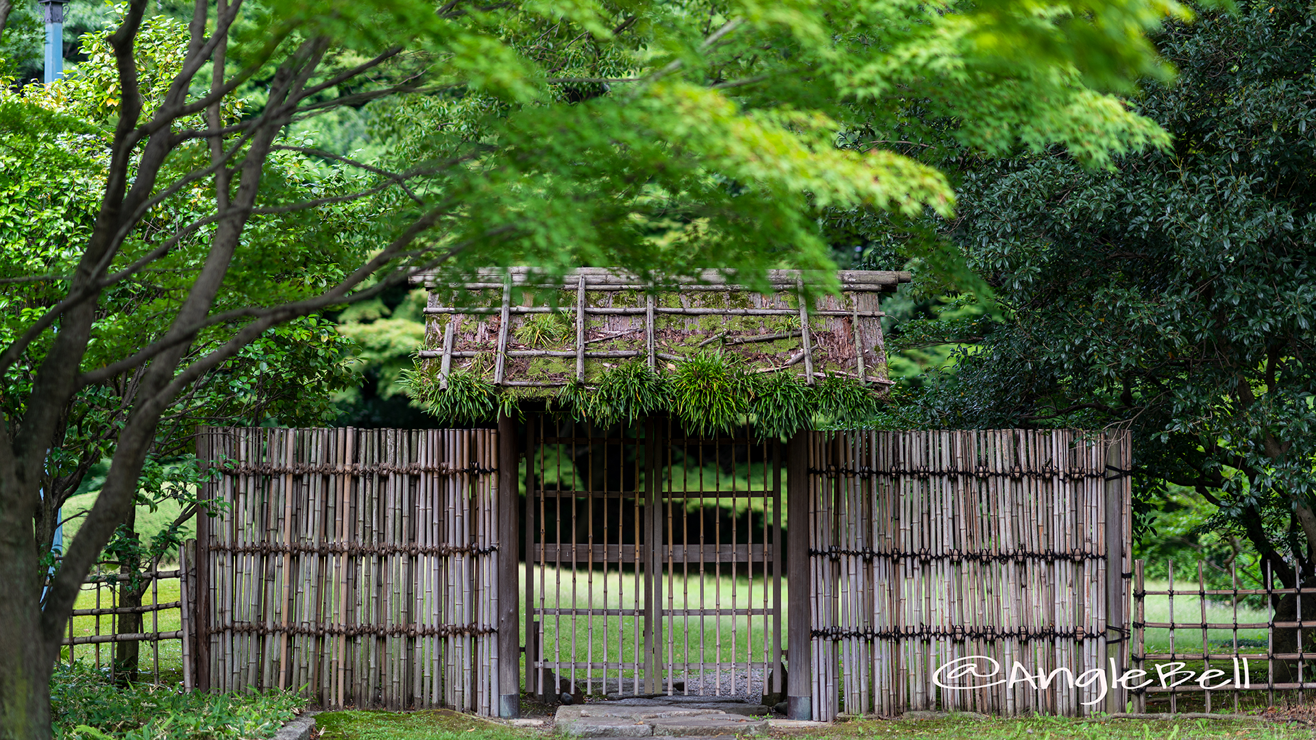 名古屋城 三の丸庭園