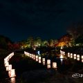 白鳥庭園 紅葉ライトアップ 2018 浮き灯篭づくり
