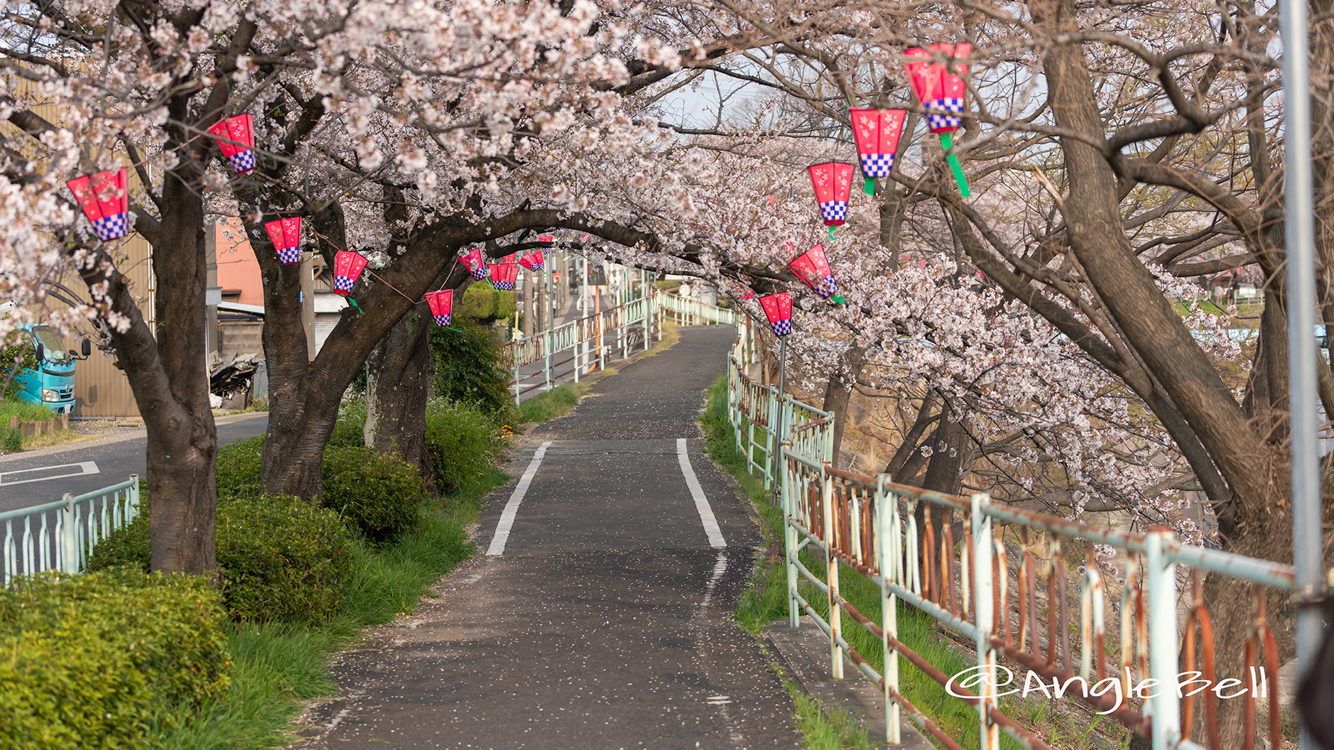 香流川緑道（延珠橋） 桜並木