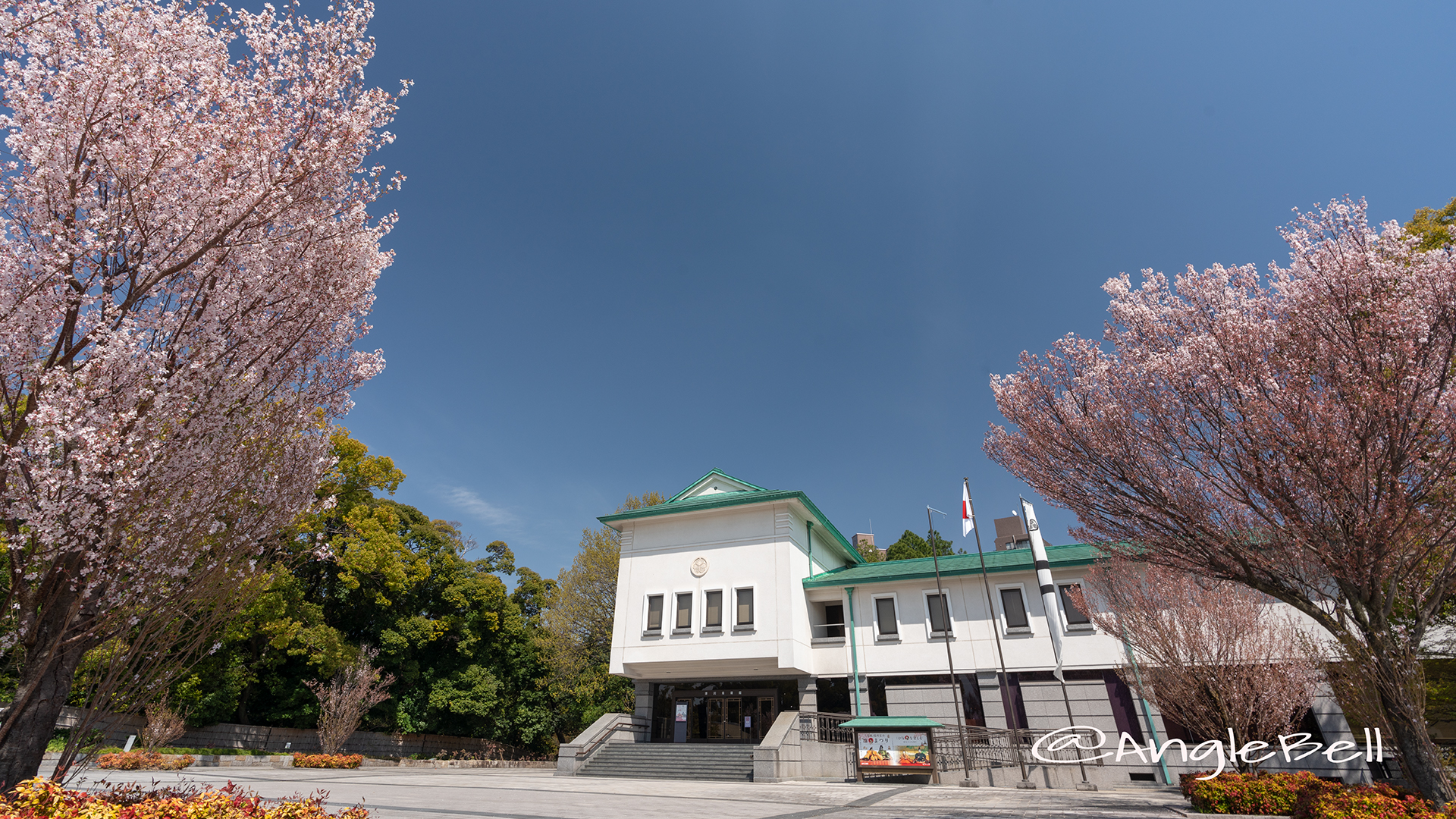 徳川美術館前広場 東海桜2019