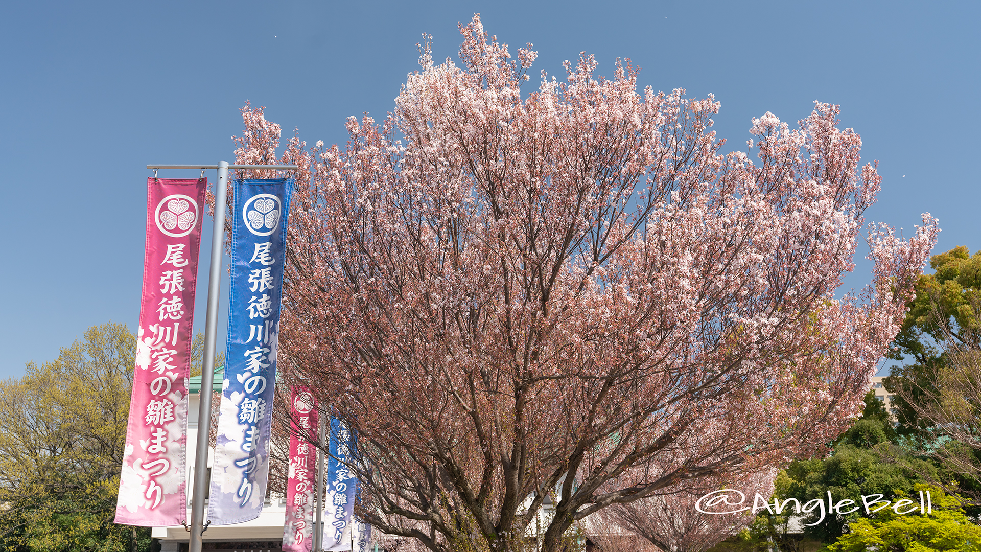 徳川美術館 尾張徳川家の雛まつり2019