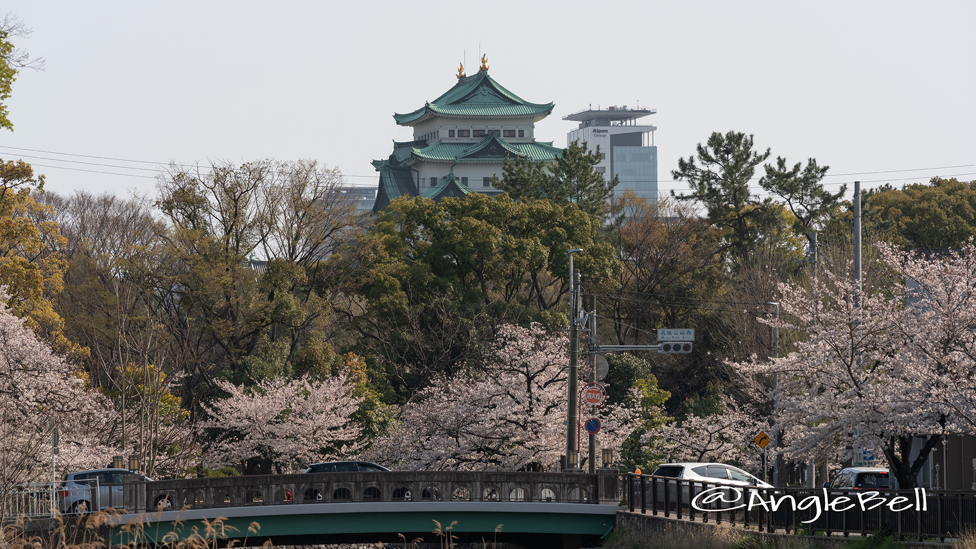 名古屋城 中土戸橋 桜風景 2019