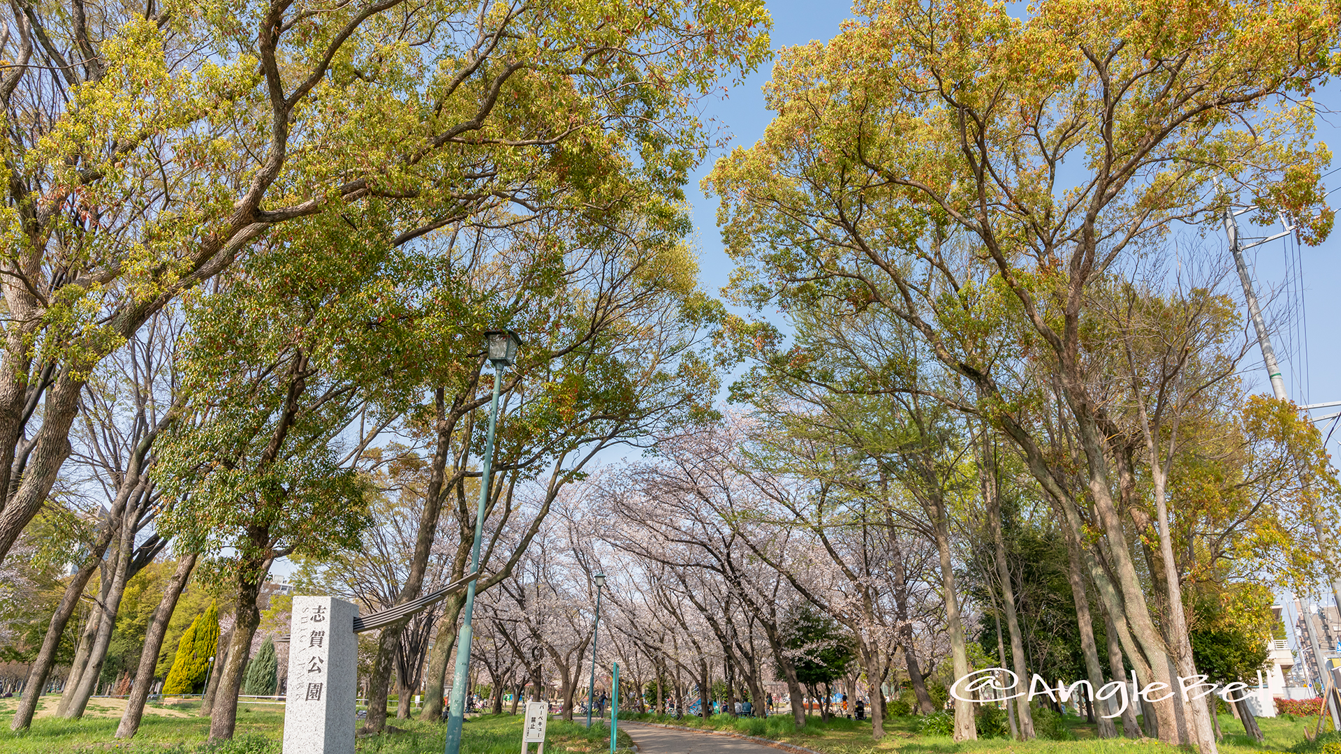 名古屋市北区 志賀公園