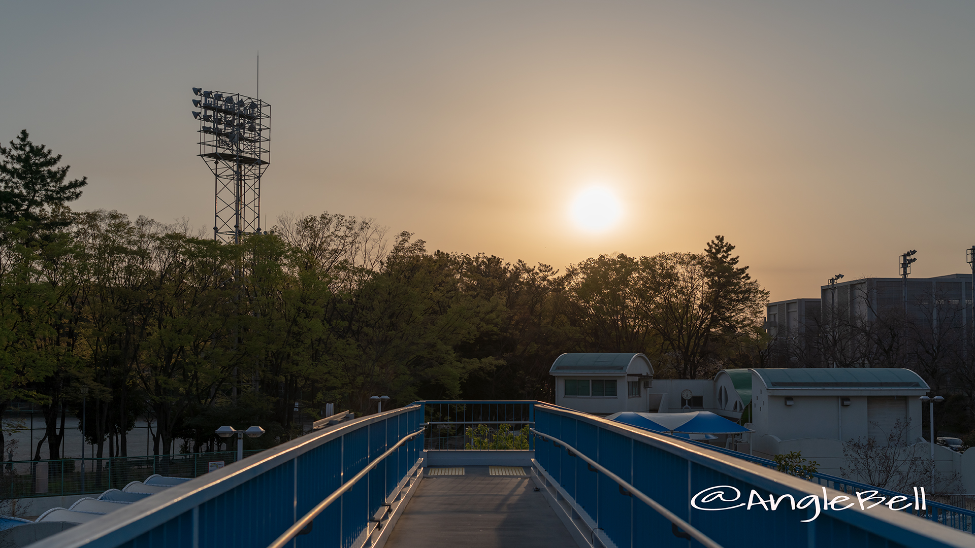 夕景 名城公園野球場（名城歩道橋）