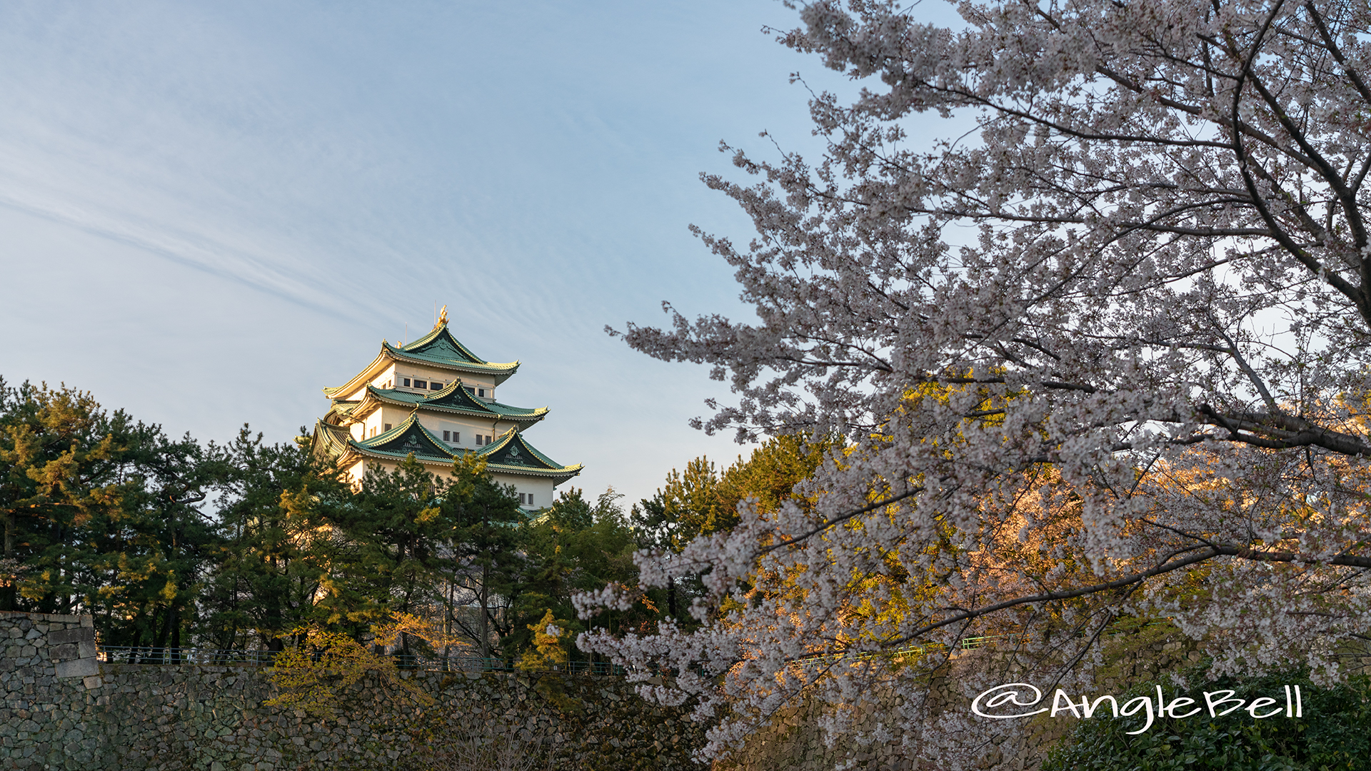 名城公園 外堀から見る名古屋城とサクラ 2019