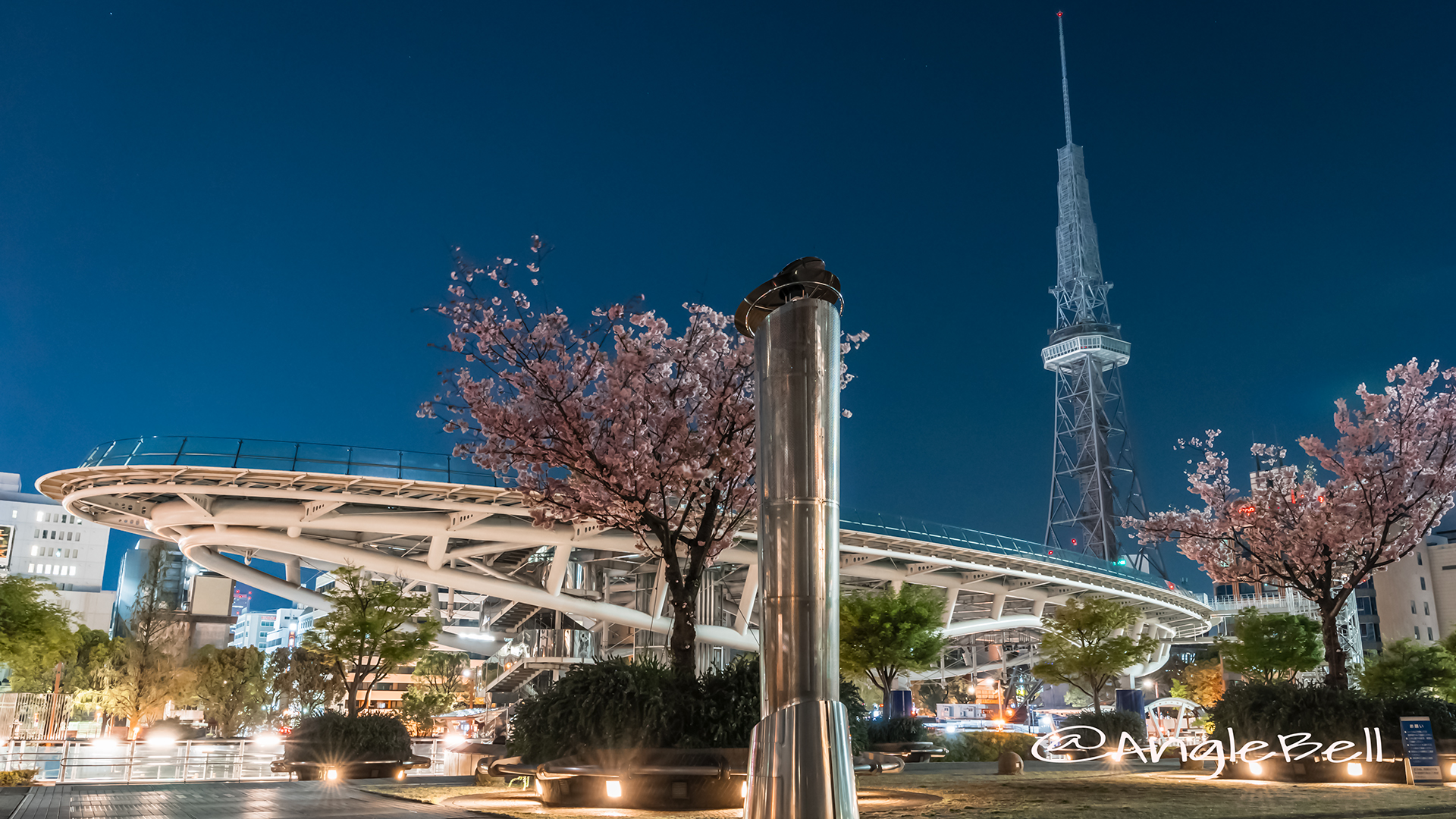 夜景 オアシス21 名古屋テレビ塔 八重桜 2019