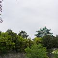 名城公園 藤の回廊広場からみる名古屋城