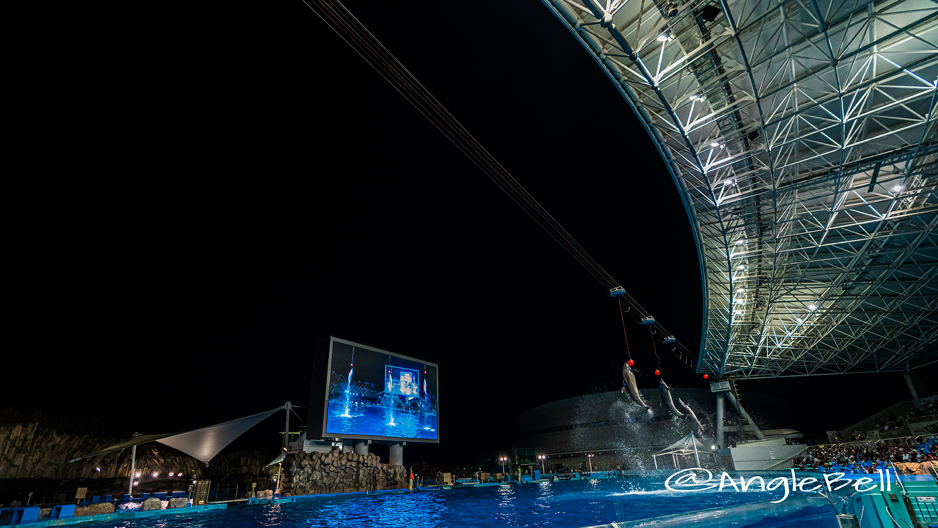 名古屋港水族館 ナイトアクアリウム