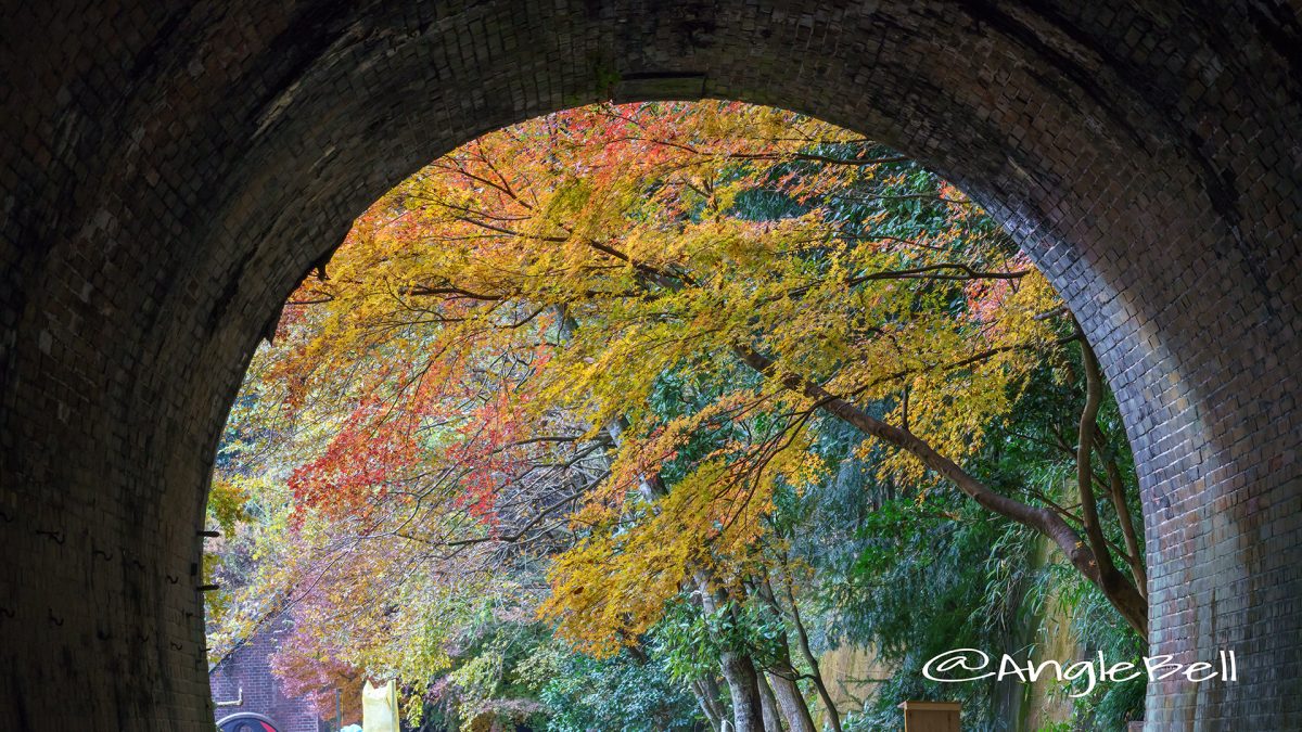 6号トンネルから見たレンガ前広場の紅葉