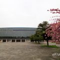 愛知県体育館と八重桜