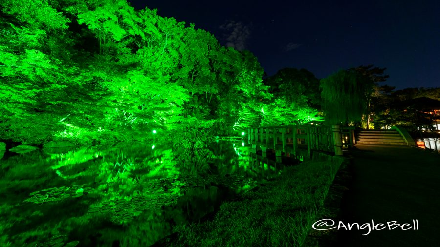 夕べを涼む 徳川園夜会 西湖堤 ライトアップ2017