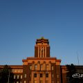 夕景 名古屋市役所と鯉のぼり