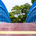 茶屋ヶ坂歩道橋と天満緑道 樹木