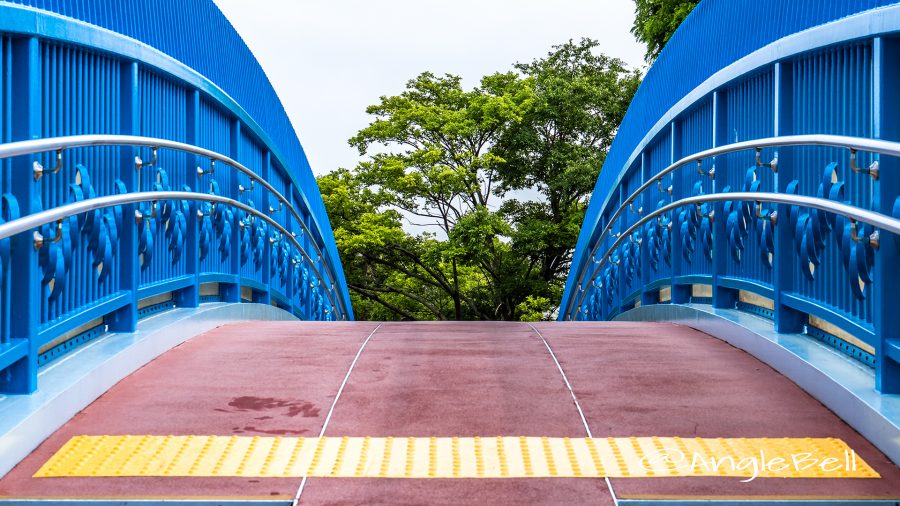 茶屋ヶ坂歩道橋と天満緑道 樹木