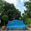 名古屋港ブルーボネット カラースキームガーデン ひまわりと青いベンチ