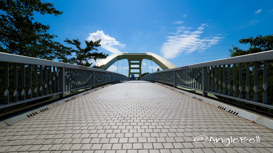 荒子川公園 荒子川パークブリッジ