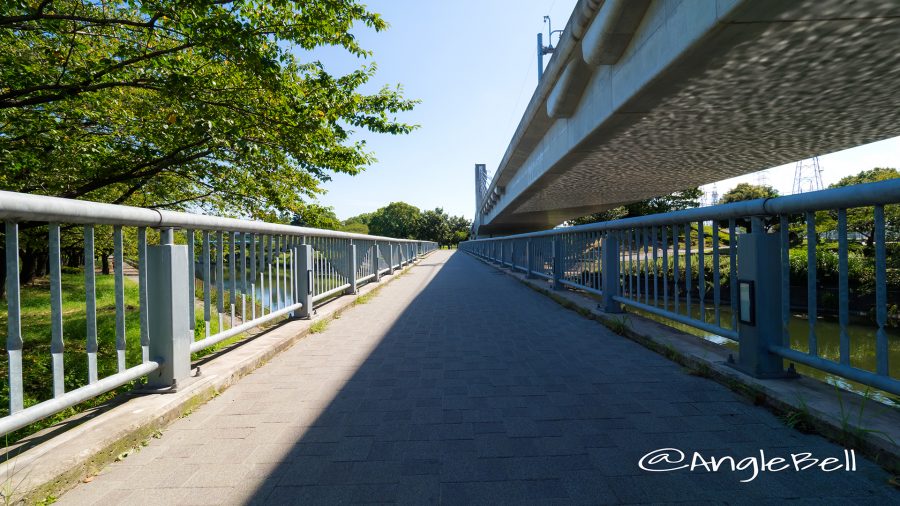 荒子川公園 荒子川連絡橋