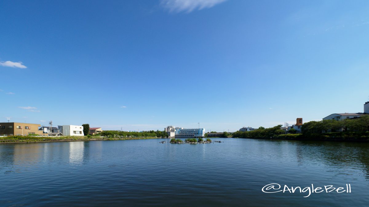 荒子川公園 フェニックスアイランド