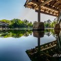 龍仙湖 湖面と観仙楼 名古屋徳川園