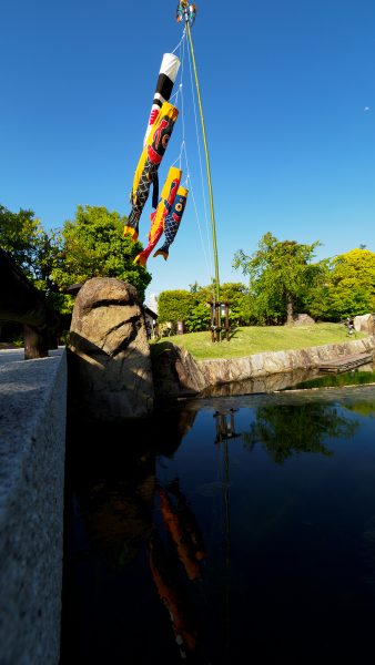 徳川園 龍仙湖と鯉のぼり