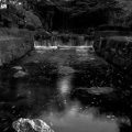 水景 龍門の瀧 徳川園