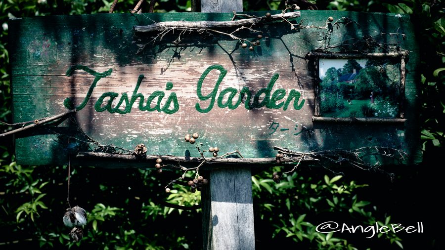 Tasha's Garden May 2017