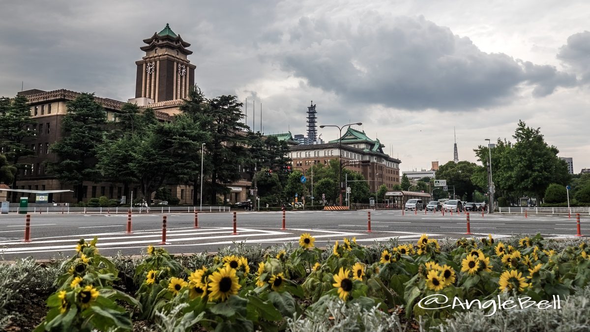 花景 大津通 名古屋市役所と愛知県庁