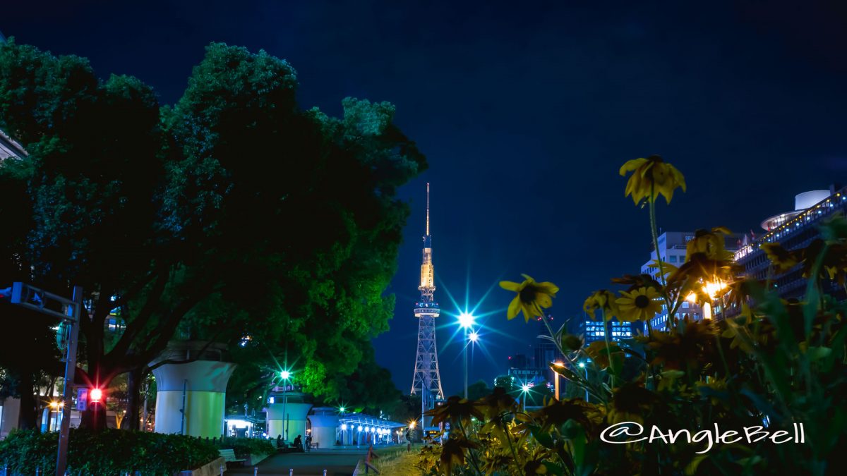 久屋大通公園エンゼル広場 名古屋テレビ塔