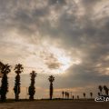 夕暮れの愛知県知多郡南知多町