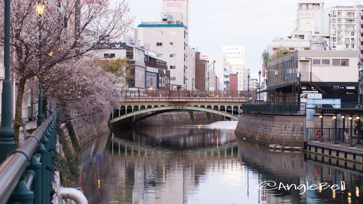 納屋橋と堀川沿いの四季桜 冬