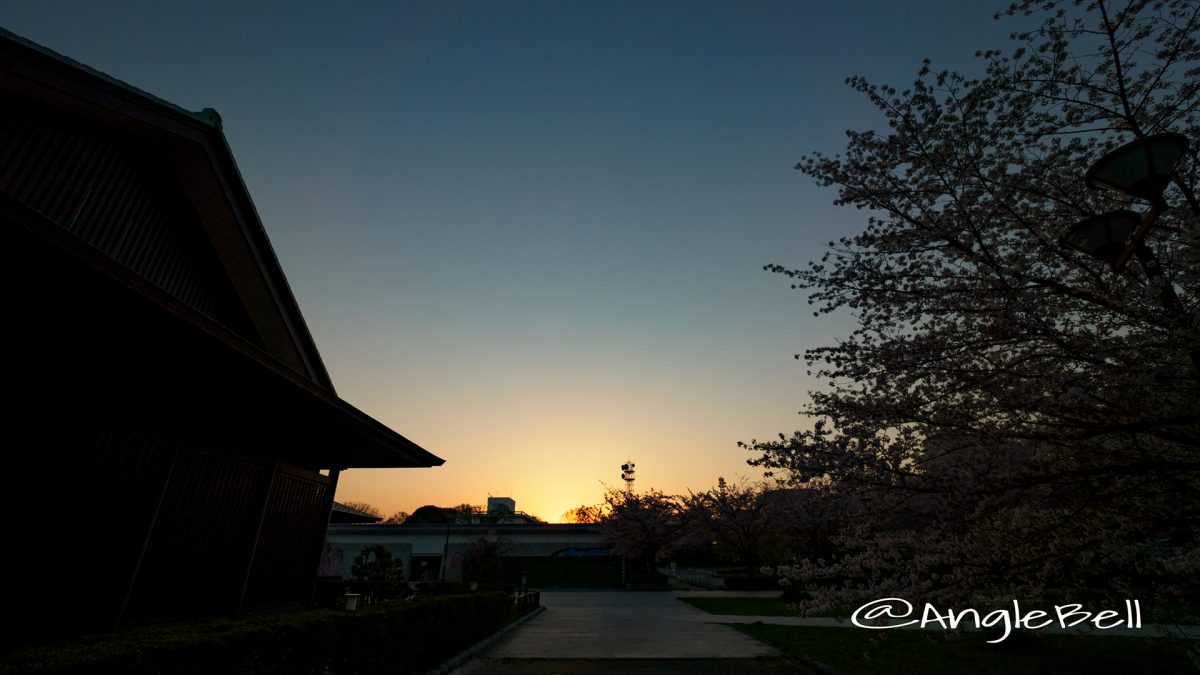 名城公園 彫刻の庭から見る朝日